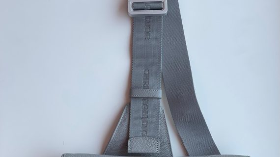 Dior Saddle bags