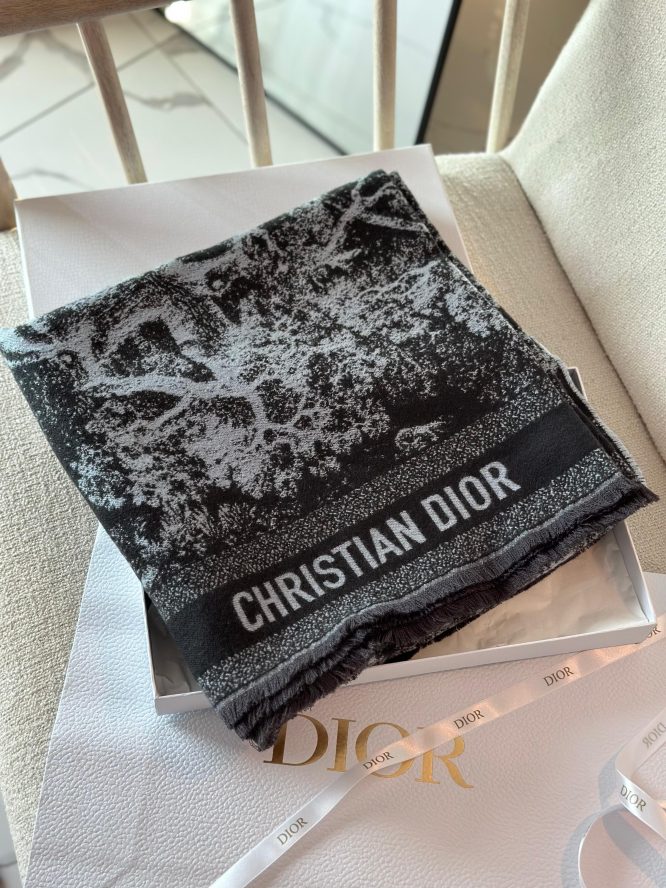 DIOR- Scarf