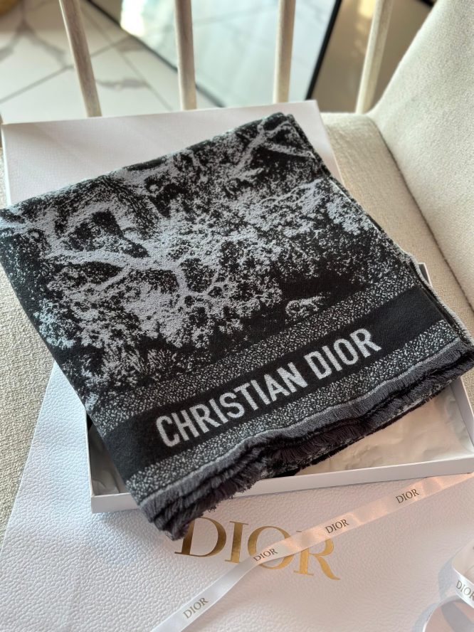 DIOR- Scarf