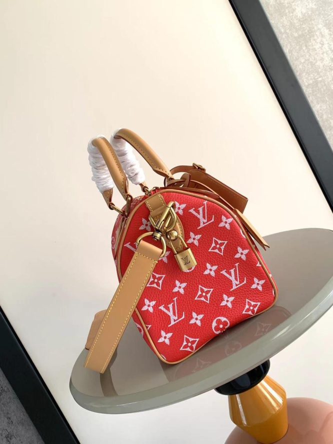 LOUIS VUITTON - SPEEDY