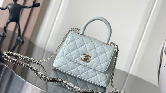 Miu Miu COCO HANDLE