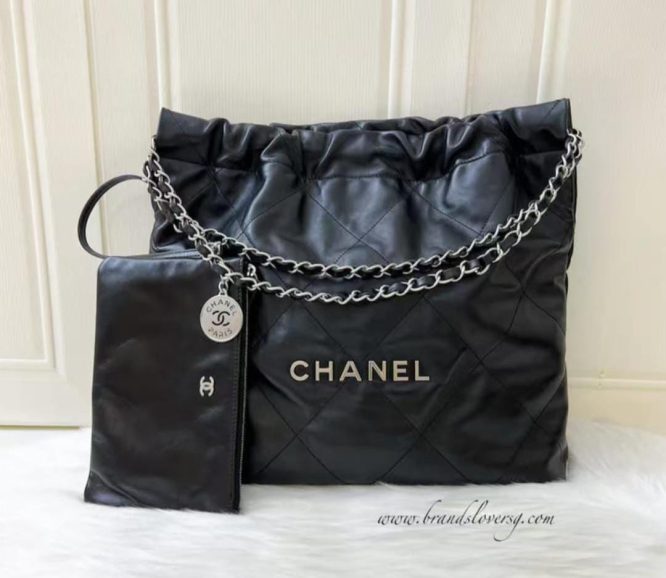 CHANEL 22- With handbag