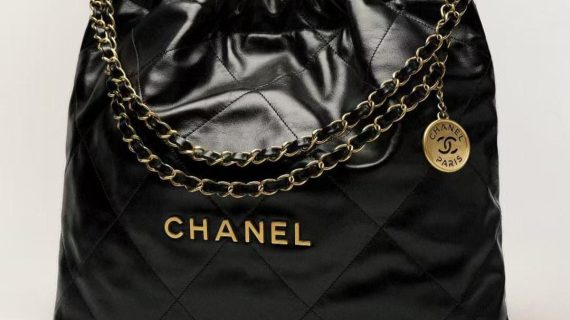 CHANEL 22- With handbag