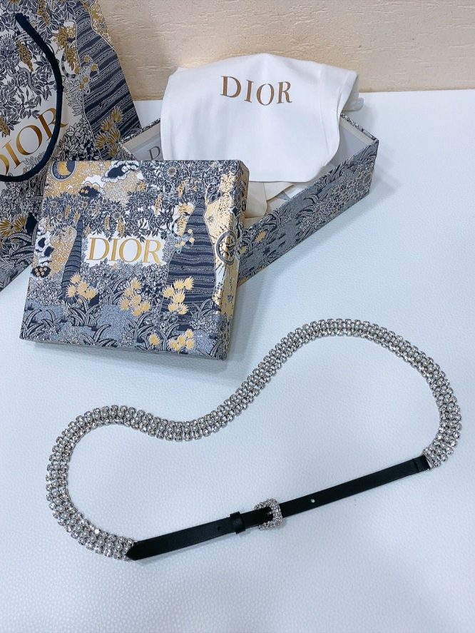 Dior Belt