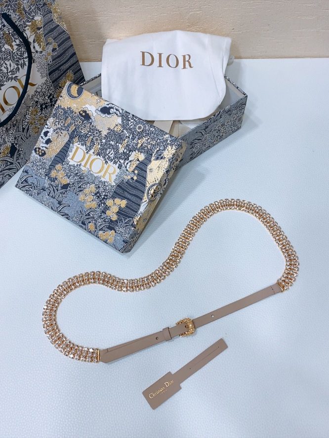 Dior Belt