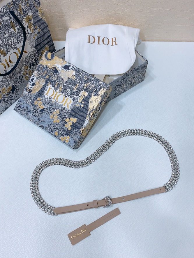 Dior Belt