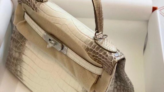 HERMÈS- BIRKIN 25 HIMALAYA NILOTICUS CROCODILE PALLADIUM HARDWARE