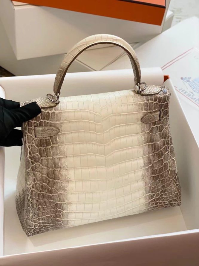 HERMÈS- BIRKIN 25 HIMALAYA NILOTICUS CROCODILE PALLADIUM HARDWARE