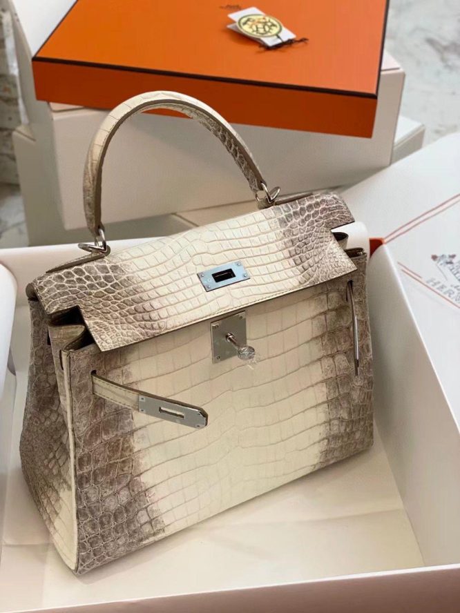 HERMÈS- BIRKIN 25 HIMALAYA NILOTICUS CROCODILE PALLADIUM HARDWARE