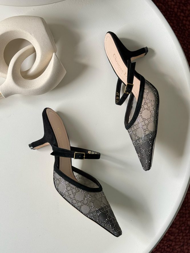 Dior Capture Slingback Pump Transparent Mesh with Strass Cannage Motif and Nude