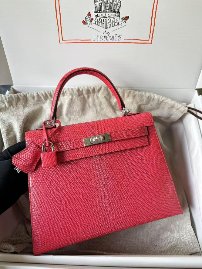 HERMES-KELLY-OMBRE-LIZARD-BAG-WOMEN