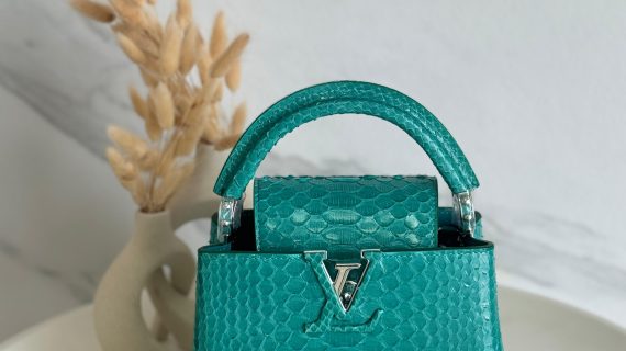 LOUIS-VUITTON-CAPUCINES-BAG-WOMEN