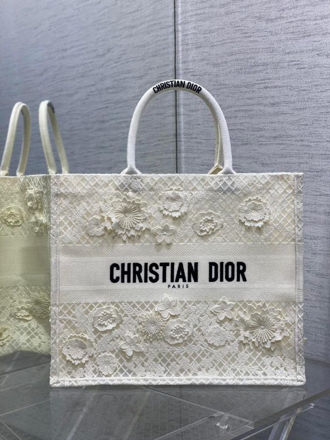 DIOR BOOK TOTE BAG