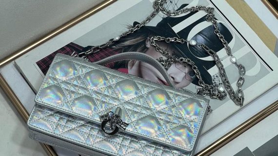 DIOR-CANNAGE LAMBSKIN- BAG-SHINY-SILVER