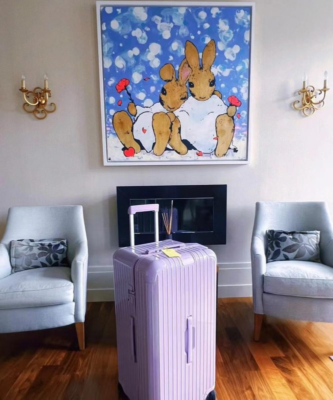 RIMOWA-SALSA-TROLLEY-BAG