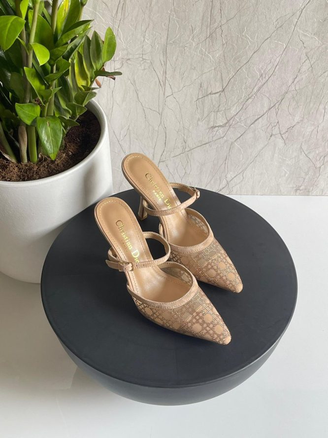 DIOR-HEELS-WOMEN-10CM
