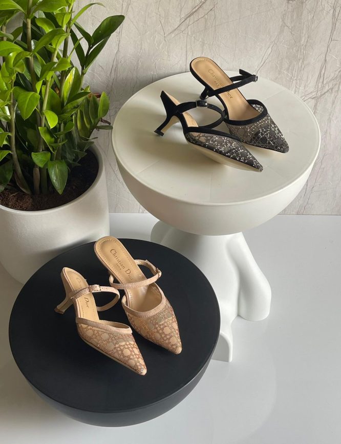 DIOR-HEELS-WOMEN-10CM