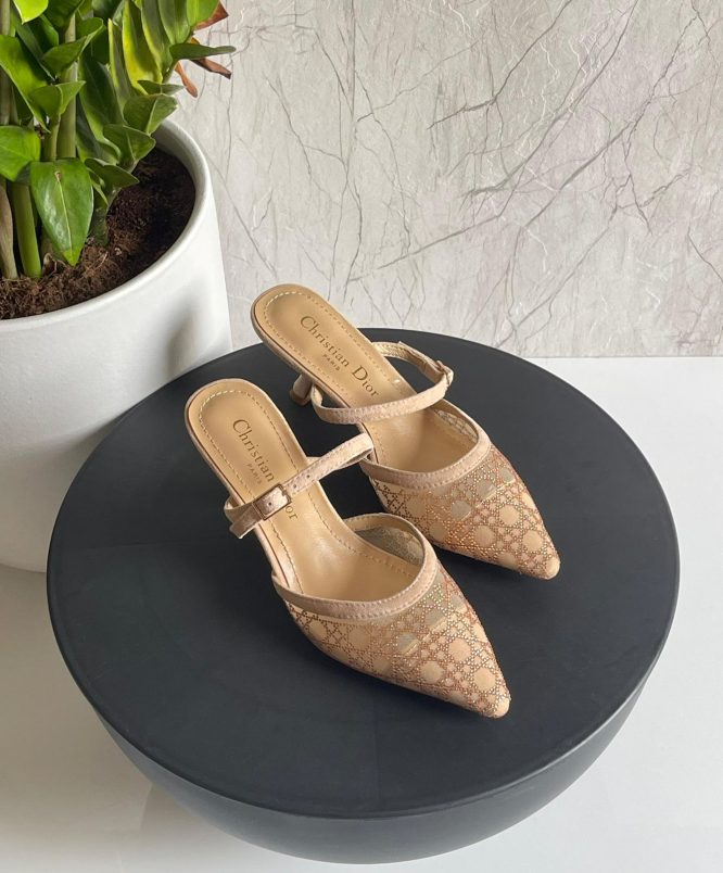 DIOR-HEELS-WOMEN-6 CM