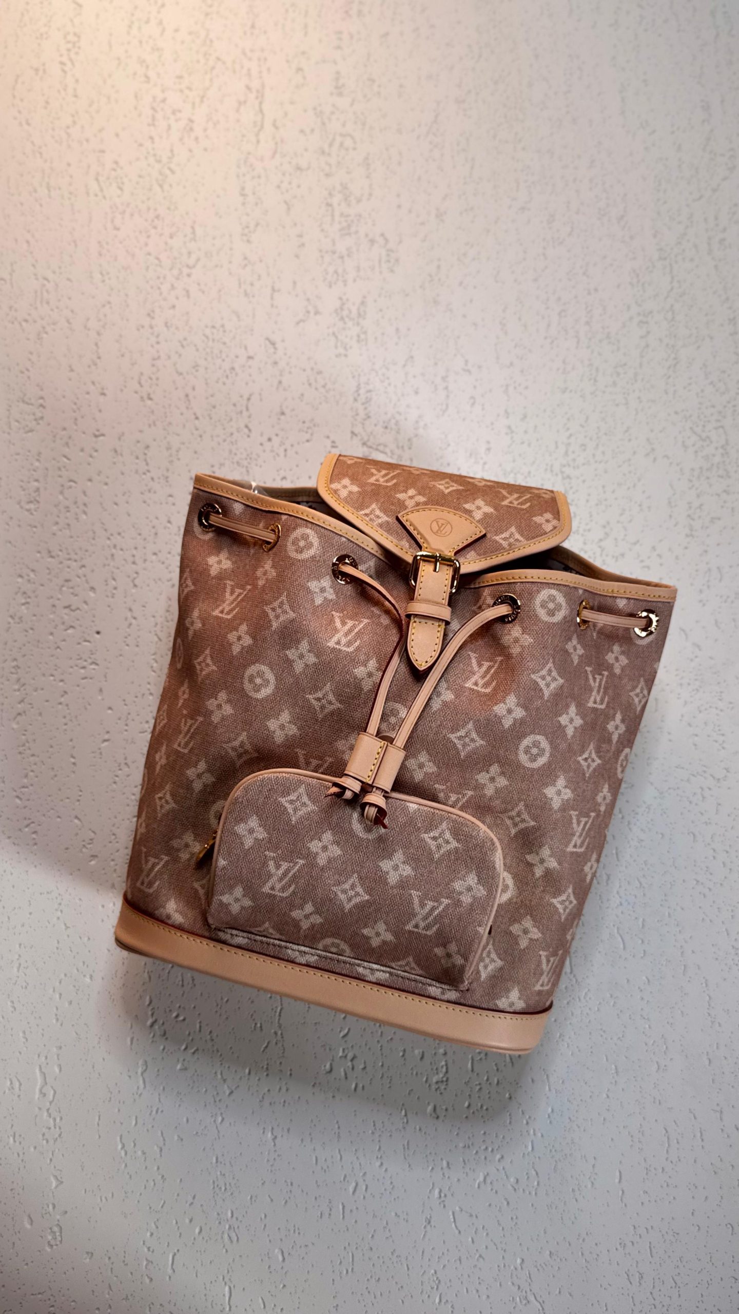 LOUIS VUITTON-BACK PACK-BAG